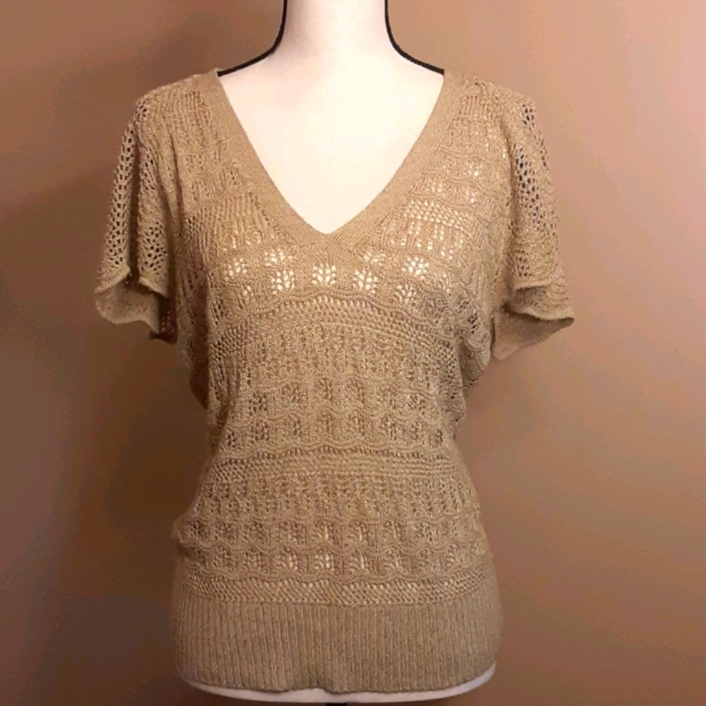AnnTaylor Loft crochet v-neck